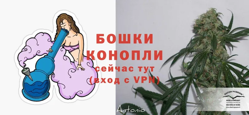 Канабис SATIVA & INDICA  OMG как войти  Северодвинск 